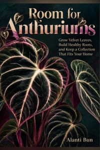 Room for Anthuriums: Grow Velvet Leaves, Build Healthy Roots, and Keep a Collection That Fits Your Home cover