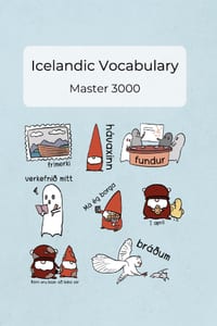Icelandic Vocabulary Master 3000 cover