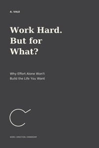 Work Hard. But for What?: Why Effort Alone Won't Build the Life You Want cover