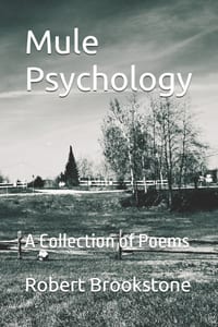Mule Psychology: A Collection of Poems cover