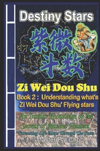 Understanding Zi Wei Dou Shu Flying stars cover