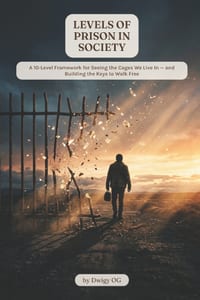 Levels of Prison in Society cover