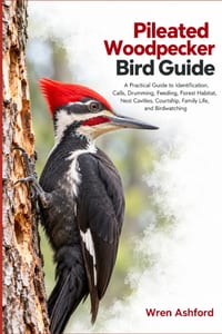 Pileated Woodpecker Bird Guide: A Practical Guide to Identification, Calls, Drumming, Feeding, Forest Habitat, Nest Cavities, Courtship, Family Life, cover