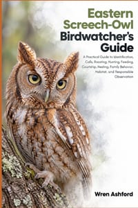 Eastern Screech-Owl Birdwatcher's Guide: A Practical Guide to Identification, Calls, Roosting, Hunting, Feeding, Courtship, Nesting, Family Behavior, cover