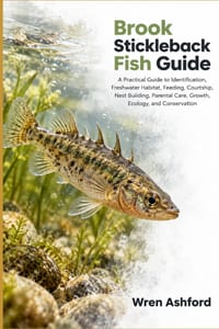 Brook Stickleback Fish Guide: A Practical Guide to Identification, Freshwater Habitat, Feeding, Courtship, Nest Building, Parental Care, Growth, Ecolo cover