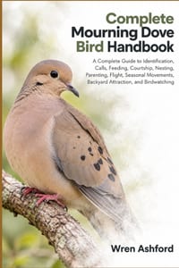 Complete Mourning Dove Bird Handbook: A Complete Guide to Identification, Calls, Feeding, Courtship, Nesting, Parenting, Flight, Seasonal Movements, B cover