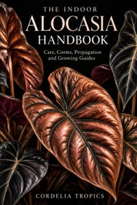 The Indoor Alocasia Handbook: Care, Corms, Propagation and Growing Guides cover