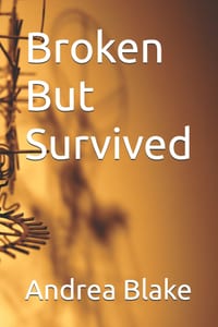 Broken But Survived cover