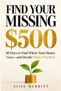 Find Your Missing $500: 30 Days to Find Where Your Money Goes-and Decide What's Worth It cover