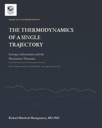 The Thermodynamics of a Single Trajectory: Entropy, Information and the Fluctuation Theorems cover