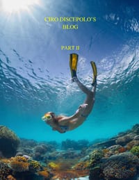 Ciro Discepolo's Blog: PART 2: Second Edition cover