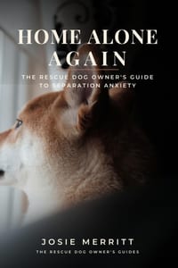 Home Alone Again: The Rescue Dog Owner's Guide to Separation Anxiety: A Step-by-Step Protocol for Helping Your Dog Feel Safe When You Leave cover
