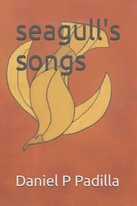 A seagull's songs cover