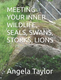 Meeting Your Inner Seals, Storks, Swans, Lions cover