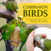 Companion Birds: The Complete Guide to Care, Behavior, and Training cover
