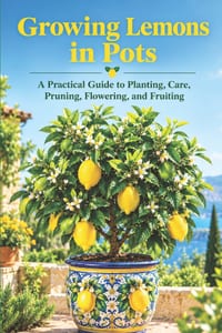 Growing Lemons in Pots: A Practical Guide to Planting, Care, Pruning, Flowering, and Fruiting cover