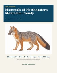Mammals of Northeastern Montcalm County cover