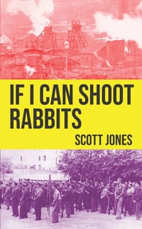 If I Can Shoot Rabbits cover