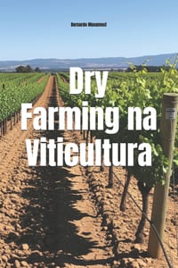Dry Farming na Viticultura: Sustentabilidade, Terroir e a Arte de Cultivar Sem Irrigação cover