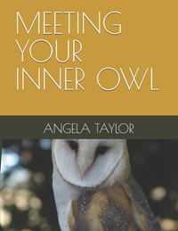 Meeting Your Inner Owl: Drawings by author cover