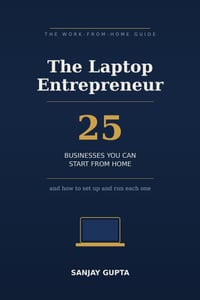 The Laptop Entrepreneur: 25 Businesses You Can Start From Home - and How to Set Up and Run Each One cover