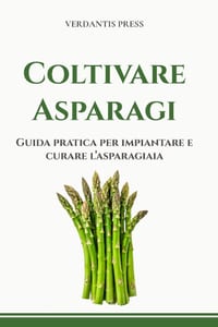 Coltivare Asparagi: Guida pratica per impiantare e curare l'asparagiaia cover
