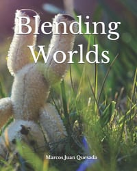 Blending Worlds cover