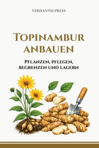 Topinambur anbauen: Pflanzen, pflegen, ernten und lagern cover