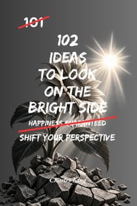 102 Ideas To Look On The Bright Side: No Forced Positivity. No Pretending Everything Is Fine. Simple Everyday Ideas To Notice The Good, Build Optimism cover