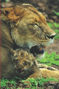 B'ajlom ii Nkotz'i'j Publications' Luo Phrasebook: Ideal for Traveling to Kenya and Tanzania cover