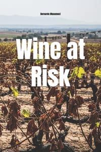 Wine at Risk: How Climate Change Is Redefining Global Terroir cover