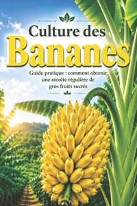 Culture des Bananes: Guide pratique: comment obtenir une récolte régulière de gros fruits sucrés cover