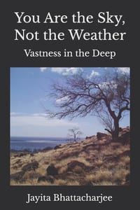 You Are the Sky, Not the Weather: Vastness in the Deep cover