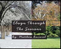 Elwyn Through The Seasons cover