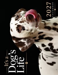 It's a Dog's Life 2027 Calendar cover