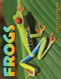 Frogs 2027 Calendar cover