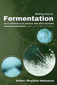 Koji Fermentation with Aspergillus Oryzae and Applications: Simplest but Most Advanced Methods cover