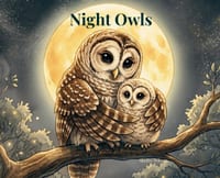 Night Owls cover