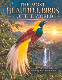 The Most Beautiful Birds of the World cover