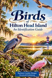 Birds of Hilton Head Island: An Identification Guide cover