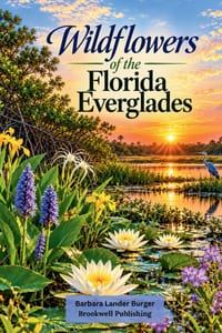 Wildflowers of the Florida Everglades cover