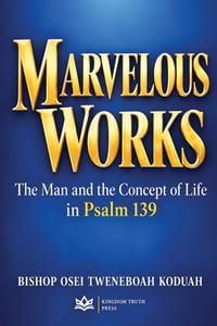 Marvelous Work cover