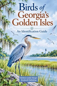 Birds of Georgia's Golden Isles cover