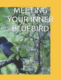 Meeting Your Inner Bluebird cover