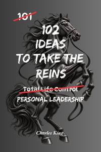 102 Ideas To Take The Reins: No More Drifting. No Waiting For Someone Else To Sort It Out. Simple Everyday Ideas To Take Control, Make Clearer Decisio cover