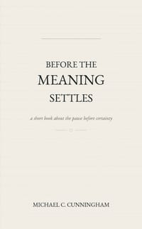 Before the Meaning Settles cover