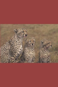 B'ajlom ii Nkotz'i'j Publications' A Concise Swahili Grammar cover