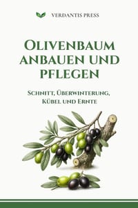 Olivenbaum anbauen und pflegen: Schnitt, Überwinterung, Kübel und Ernte cover