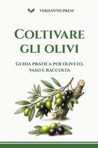 Coltivare gli olivi: Guida pratica per oliveto, vaso e raccolta cover