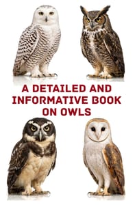 A Detailed and Informative Book on Owls cover